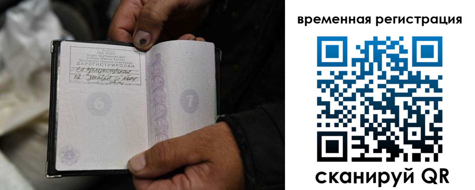 прописка поиск в Сольцах
